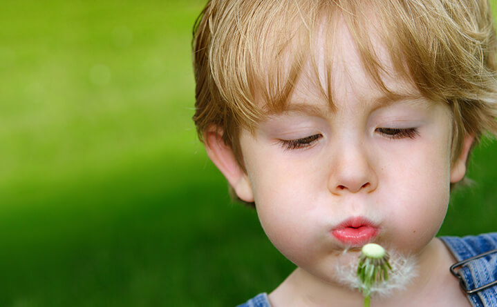 child blowing on flower